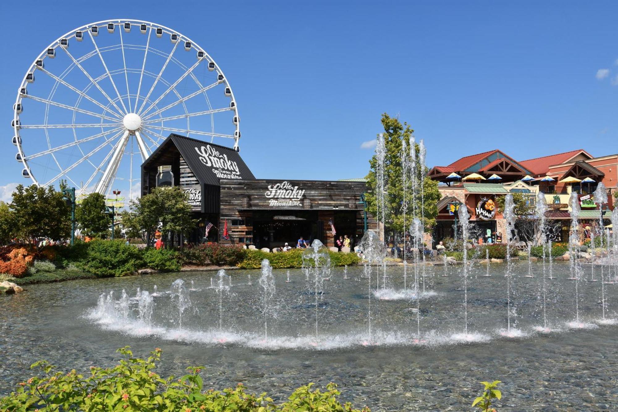 Alpine Resort Near Dollywood, Hot Tub, Game Room, Outdoor Pool, Fast Wifi Pigeon Forge Eksteriør bilde